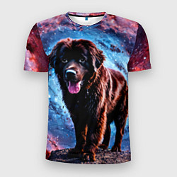 Футболка спортивная мужская Ньюфаундленд в космосе, цвет: 3D-принт