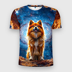 Футболка спортивная мужская Финский лаппхунд в космосе, цвет: 3D-принт