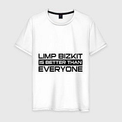 Мужская футболка Limp Bizkit: Everyone
