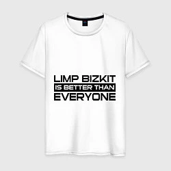 Мужская футболка Limp Bizkit: Everyone