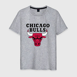 Футболка хлопковая мужская Chicago Bulls, цвет: меланж