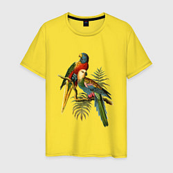 Мужская футболка Тропические попугаи
