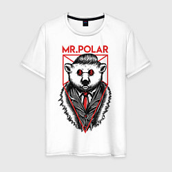 Мужская футболка Mr Polar
