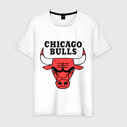 Мужская футболка Chicago Bulls