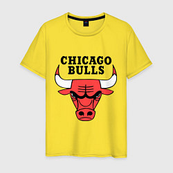 Футболка хлопковая мужская Chicago Bulls, цвет: желтый
