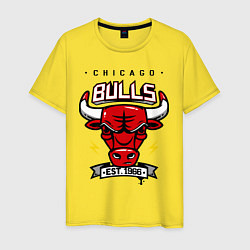 Мужская футболка Chicago Bulls est. 1966