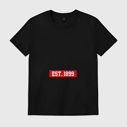 Мужская футболка FC Milan Est. 1899