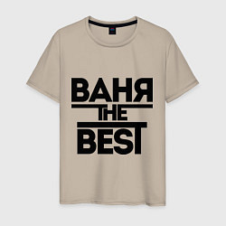 Мужская футболка Ваня the best