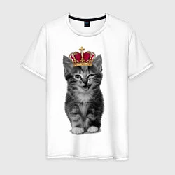 Мужская футболка Meow kitten