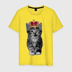 Мужская футболка Meow kitten