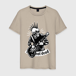 Мужская футболка Punks not dead - motto