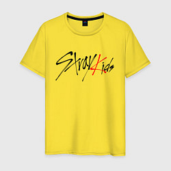 Мужская футболка STRAY KIDS FELIX
