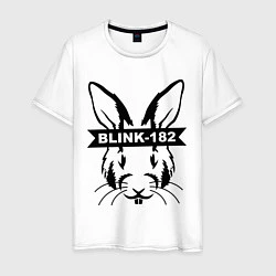 Мужская футболка Blink-182