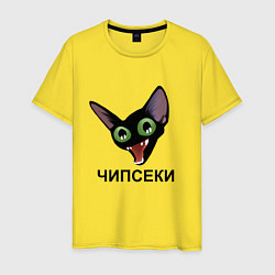 Мужская футболка Чипсеки: кот-мем