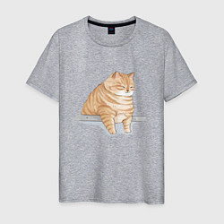 Мужская футболка Толстый Кот