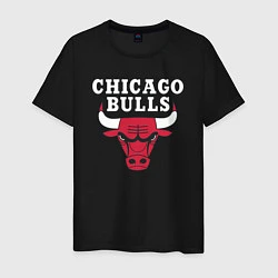 Мужская футболка CHICAGO BULLS