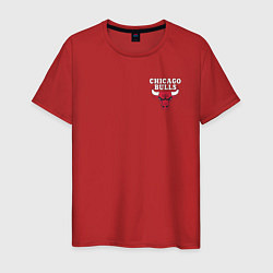 Мужская футболка CHICAGO BULLS НА СПИНЕ