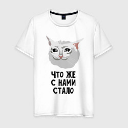 Мужская футболка Грустный котик