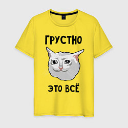 Мужская футболка Грустный котик