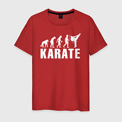 Мужская футболка Karate Evolution