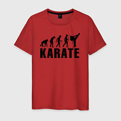 Мужская футболка Karate Evolution
