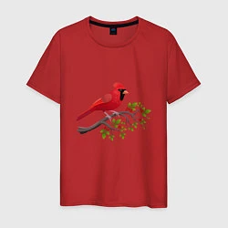 Мужская футболка Красный кардинал