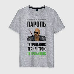 Мужская футболка Тетриандох