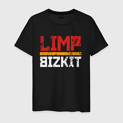 Мужская футболка LIMP BIZKIT