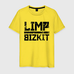 Мужская футболка LIMP BIZKIT