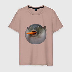 Мужская футболка Рыба Фугу есть морковь