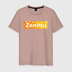 Мужская футболка ZENITSU