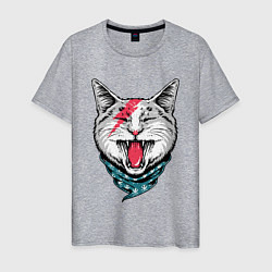 Мужская футболка Cat Bowie