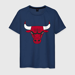 Мужская футболка Chicago Bulls