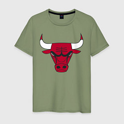 Мужская футболка Chicago Bulls