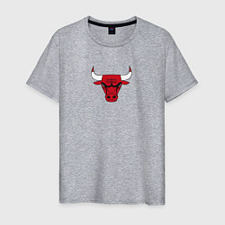 Мужская футболка CHICAGO BULLS