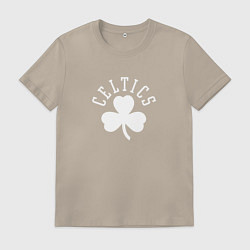 Мужская футболка Бостон Селтикс