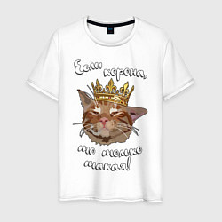 Мужская футболка Кот в короне