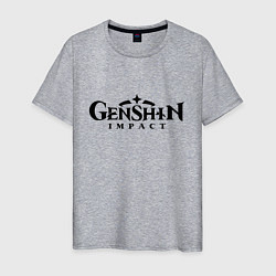 Футболка хлопковая мужская Genshin Impact Logo Z, цвет: меланж