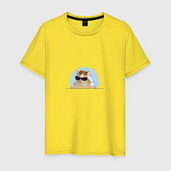 Мужская футболка Кот в очках мем