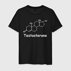 Мужская футболка Testosterone