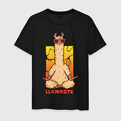 Мужская футболка Llamaste