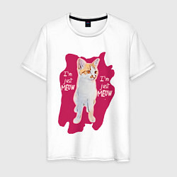 Мужская футболка The shusha cat
