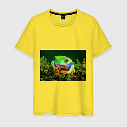 Мужская футболка Тропическая лягушка