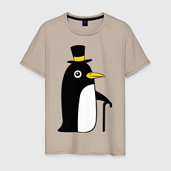 Мужская футболка Пингвин в шляпе