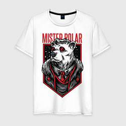 Мужская футболка Mister Polar