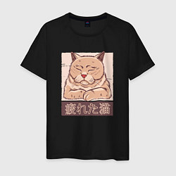 Мужская футболка Мудрый китайский кот