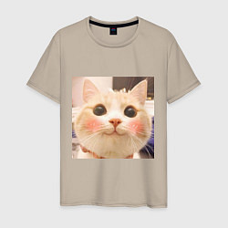 Мужская футболка Мем про котов