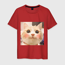 Мужская футболка Мем про котов
