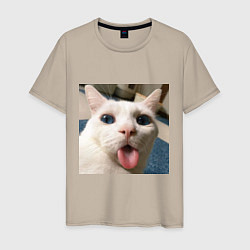 Мужская футболка Мем про кота