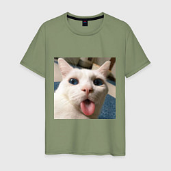 Мужская футболка Мем про кота